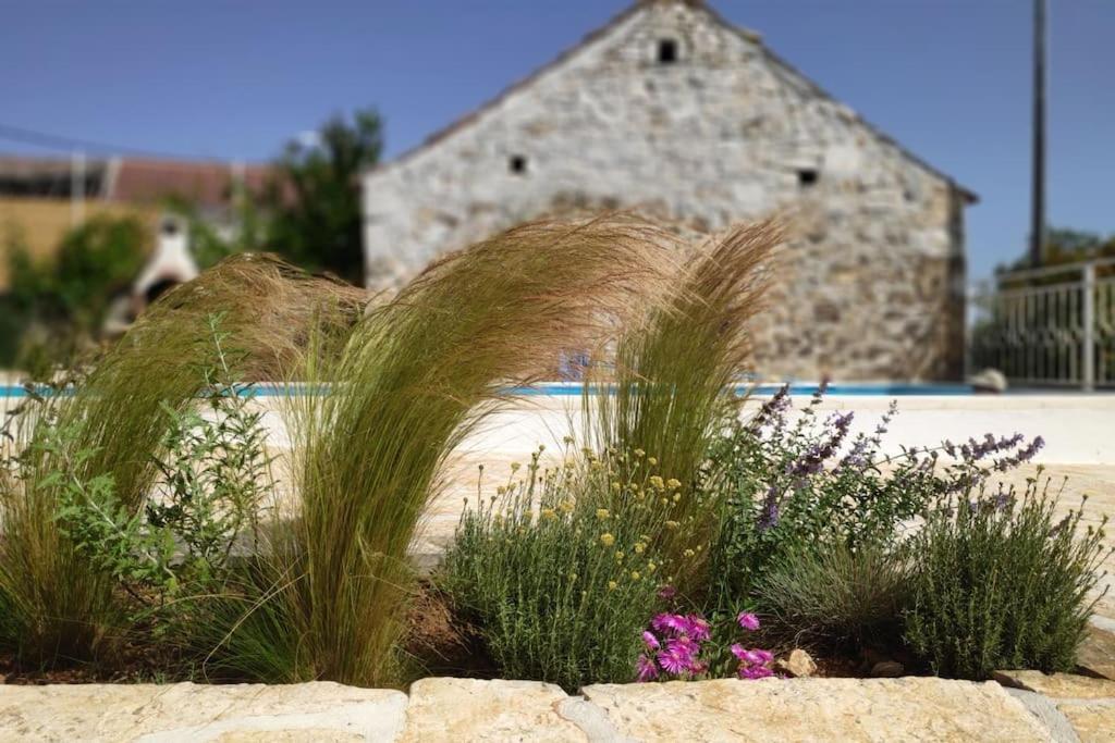 Вілла Stone House Kula Milica Mala Cista Екстер'єр фото